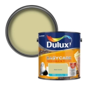 Dulux Easycare Washable & Tough Melon Sorbet Matt Paint - 2.