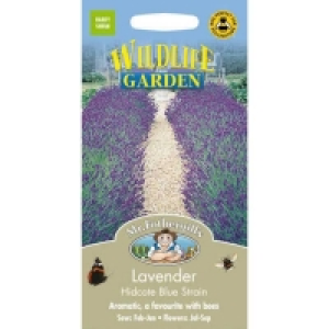 Yes Mr. Fothergills Lavender Hidcote Blue Strain (Lavandula Ang