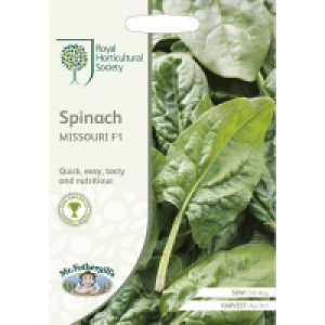 Rhs Award Of Garden Merit RHS Spinach Missouri F1 Seeds
