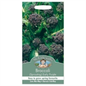 Well Cultivated, Fertile Soil Mr. Fothergills Broccoli Early Purple Sprouting Seeds