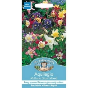 Well Drained. Mr. Fothergills Aquilegia Mckana Giant Mixed (Aquilegia Cul