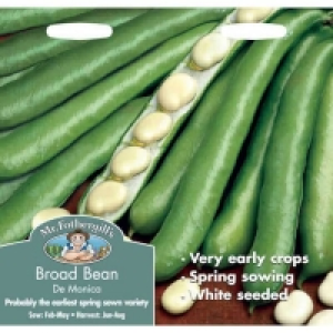 45 Mr. Fothergills Broad Bean De Monica Vegetable Seeds