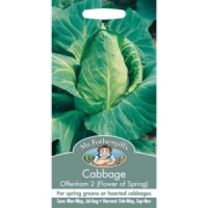 Well Cultivated, Fertile Soil. Mr. Fothergills Cabbage Offenham 2 Flower Of Spring (Brassi