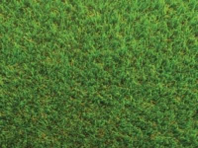 Namgrass natural look Serenity Sample