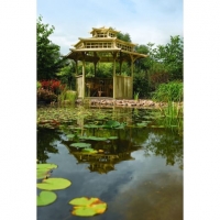 Wickes  Rowlinson Oriental Timber Pagoda - 4025 x 3290 mm