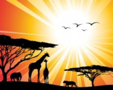 Wickes  ohpopsi Sunset Safari Wall Mural - L 3m (W) x 2.4m (H)