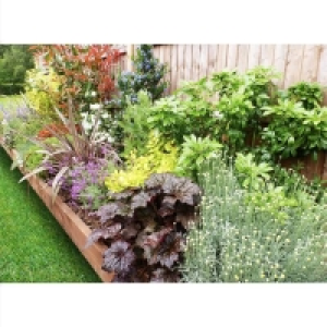 Sunny Border Collection - 8m x 90cm £312.00