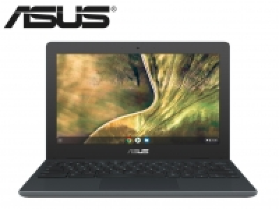 ASUS 11.6 Chromebook C204MA
