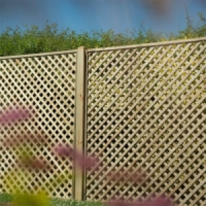 Mixed Softwood 180cm Rosemore Lattice Trellis 3 pack