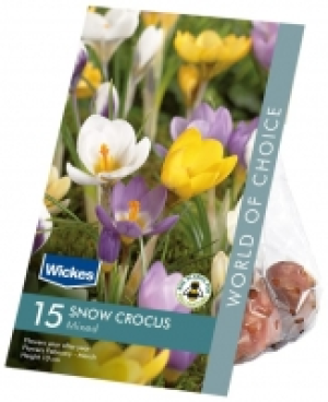 Crocus Mixed Spring flowering Bulbs