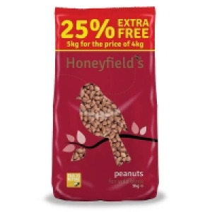 Homebase Honeyfields Honeyfields Peanuts for Wild Birds - 5kg