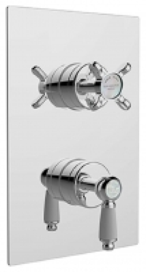 Bristan Renaissance Recessed Thermostatic Dual Control Showe