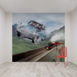 Journey to Hogwarts Wall Mural 3m x 2.8m £56.00