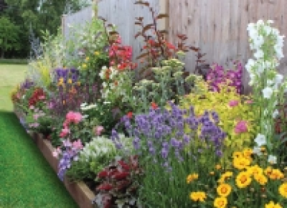 Wickes  Garden on a Roll Wildlife Plant Border - 900mm x 10m