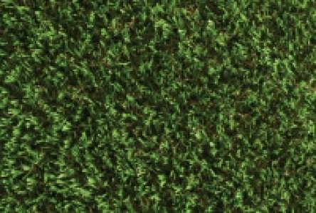 Namgrass Vision Artificial Grass Sample