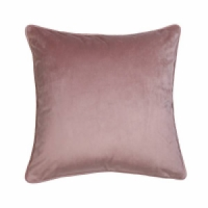 43 X 43cm Velvet Cushion - Blush - 43x43cm