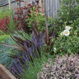 Wickes  Garden on a Roll Mediterranean Plant Border - 900mm x 4m