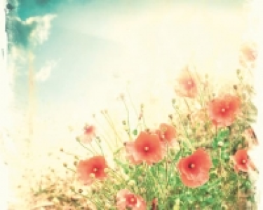 ohpopsi Sepia Flowers Wall Mural - L 3m (W) x 2.4m (H)