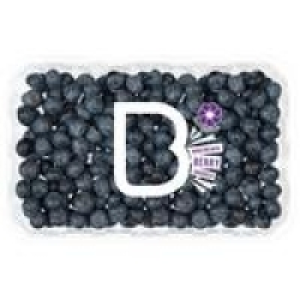 BerryWorld Blueberries £4.31