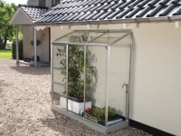 Wickes  Vitavia Ida 2 x 6ft Toughened Glass Greenhouse with Steel Ba