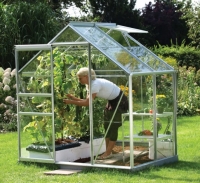 Wickes  Vitavia Venus 6 x 4ft Toughened Glass Greenhouse