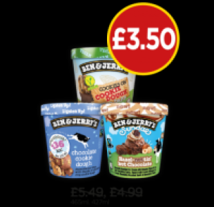 Budgens  Ben & Jerrys Moophoria Chocolate & Cookie Dough, Non Dairy C