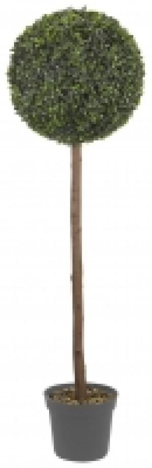 Smart Garden Uno Topiary Tree - 120cm