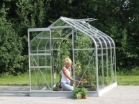 Wickes  Vitavia Orion Curved Roof 6 x 8ft Horticultural Glass Greenh