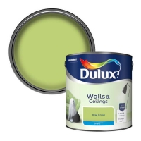 Homebase Dulux Dulux Standard Kiwi Crush Matt Emulsion Paint - 2.5L