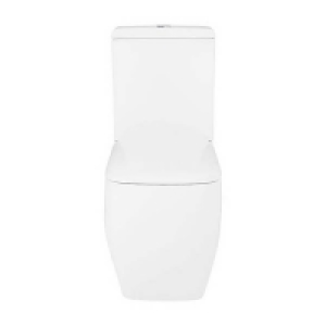 Homebase Vitreous China Bathstore Cedar Back To Wall Close Coupled Toilet