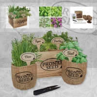 InExcess  Pronto Seed Grow Your Own Herb Kit
