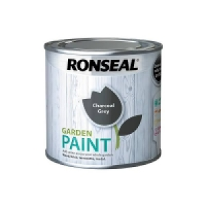 Ronseal Garden Paint - Charcoal Grey 250ml £5.00
