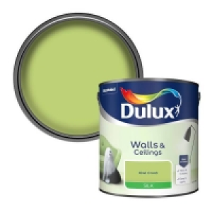 Dulux Standard Kiwi Crush Silk Emulsion Paint - 2.5L £20.00