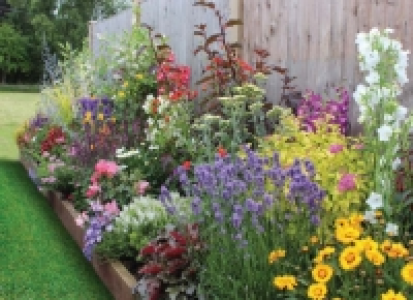 Garden on a Roll Wildlife Plant Border - 900mm x 7m