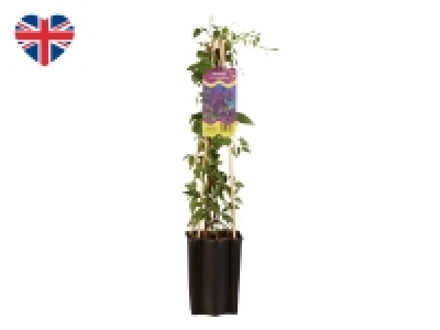 Assorted British Climbers &pound;5.99