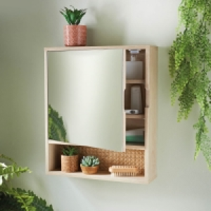 Botanist Bathroom Cabinet & Mirror