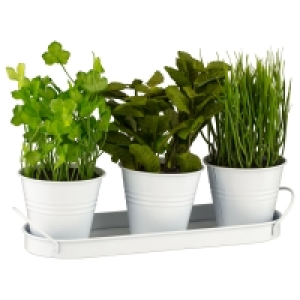 Herb Planter £5.00