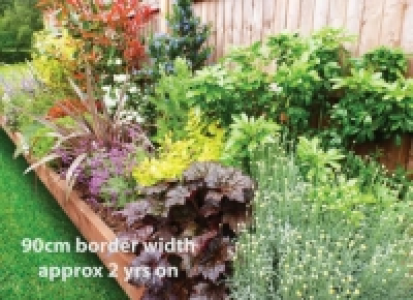 Garden on a Roll Mixed Sunny Plant Border - 600mm x 3m