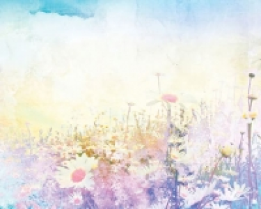 ohpopsi Flowery Meadow Wall Mural - L 3m (W) x 2.4m (H)