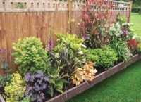 Wickes  Garden on a Roll Mixed Shady Plant Border - 600mm x 10m