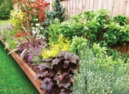 Wickes  Garden on a Roll Mixed Sunny Plant Border - 900mm x 9m