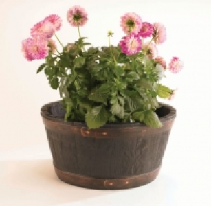 Wickes  Sankey Oakwood Effect Plant Pot - 490mm