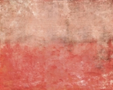 ohpopsi Burnished Copper Wall Mural - XL 3.5m (W) x 2.8m (H)