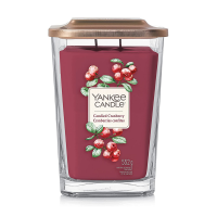 HomeBargains  Yankee Candle: Elevation Collection Large Candle 552g Candie