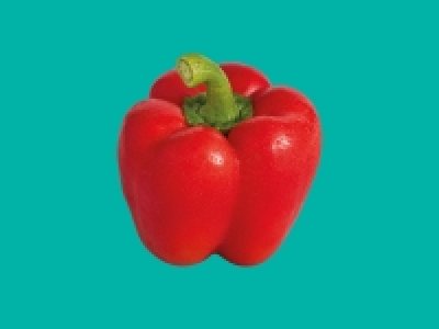 Red Pepper £0.35