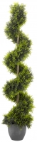 Wickes  Smart Garden Cypress Topiary Twirl Tree - 120cm