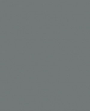 Superfresco Easy Uni Fern Dark Anthracite Grey Plain Wallpap