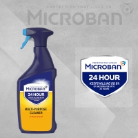 InExcess  Microban 24 Hour Multi-Purpose Cleaner Citrus Scent - 750ml