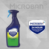 InExcess  Microban 24 Hour Multi-Purpose Cleaner Fresh Scent - 750ml