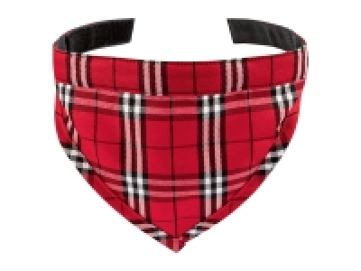 Zoofari Dog Accessories